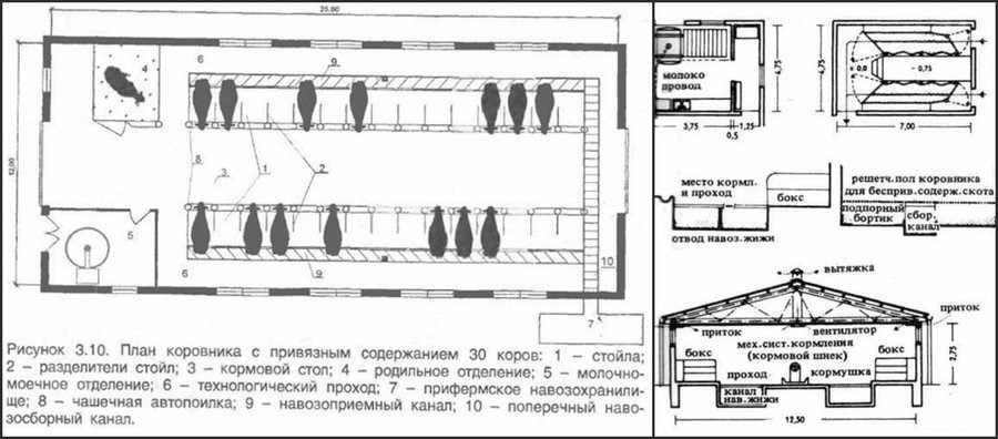 Бизнес план на 10 коров дойных