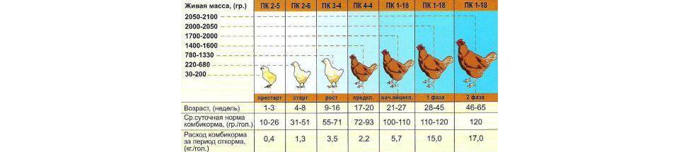 Сколько грамма на 1 курицу. Таблица кормления кур несушек комбикормом. Схема кормления кур несушек. Нормы кормления кур несушек комбикормом. Норма корма цыплятам несушкам 3 месяца.